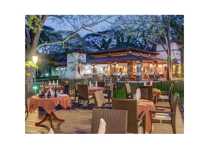 Cc Front Papagayo