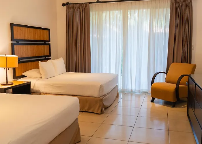 Cc Front Papagayo