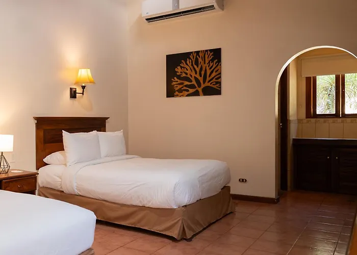 Cc Front Papagayo