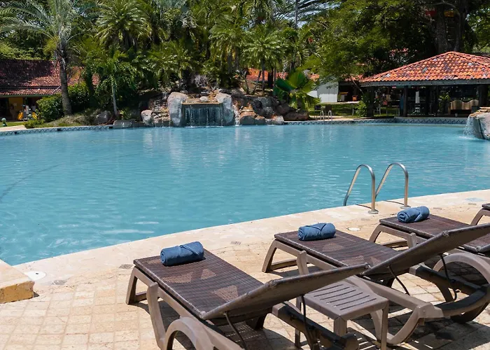 Cc Front Papagayo
