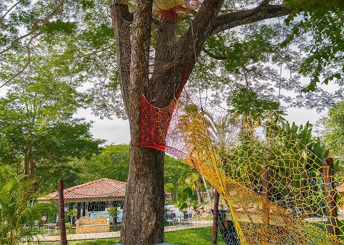 Cc Front Papagayo