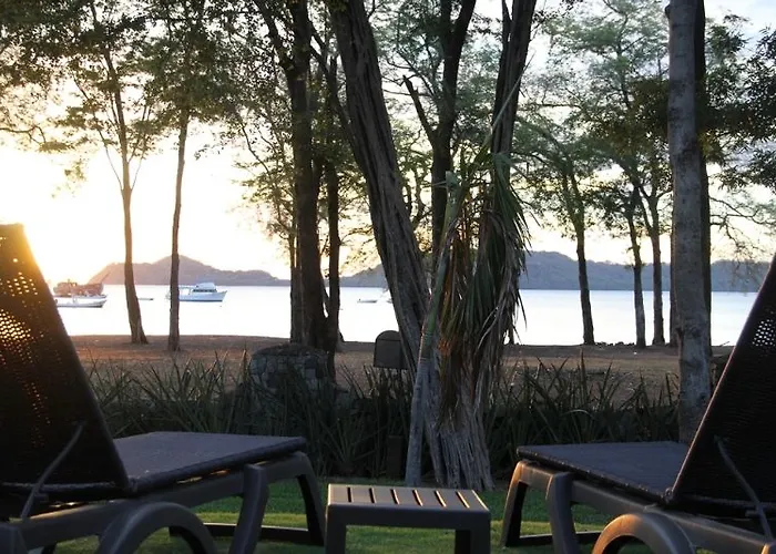 Cc Front Papagayo