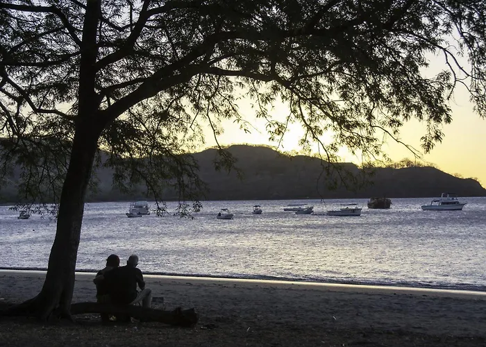 Cc Front Papagayo